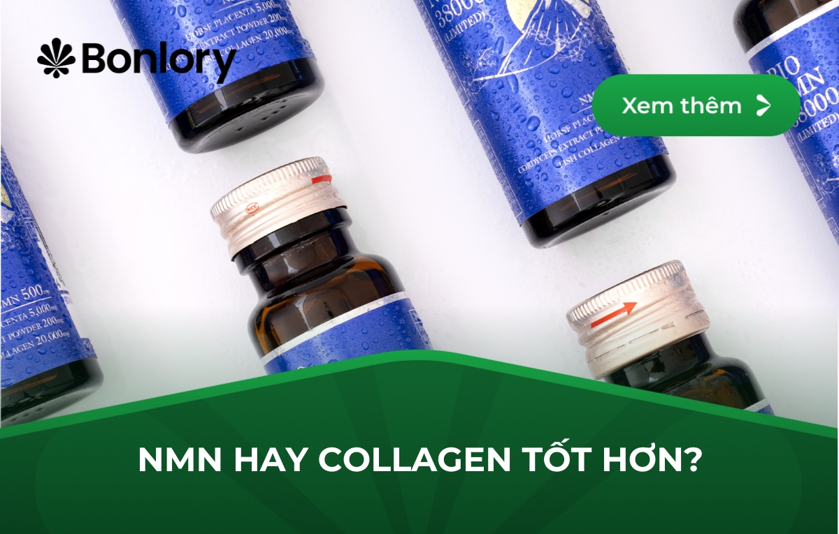 NMN Hay Collagen Tốt Hơn?